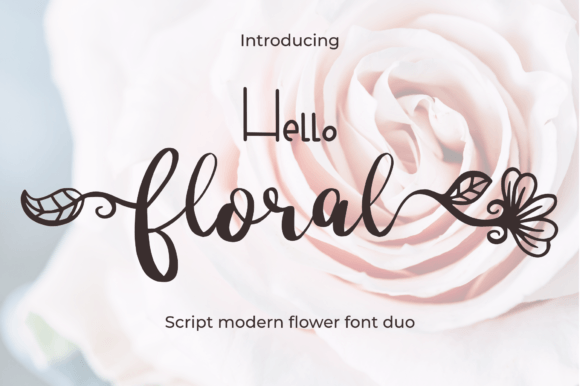 A Fresh Perspective: Hello Floral as Editorial Typeface