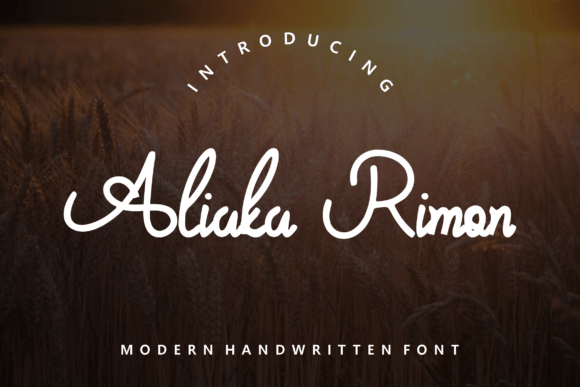 Enhance Your Brand with Aliaka Rimon Font