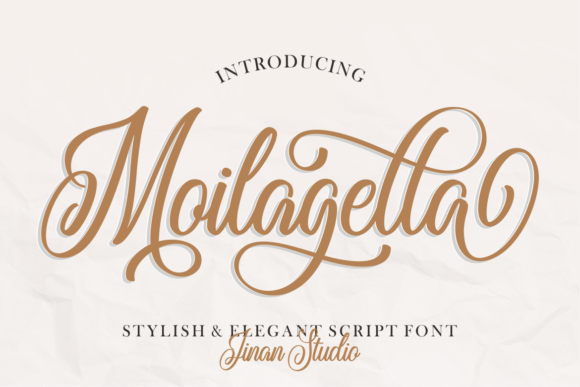 Testing Moilagella on a Real Website Project